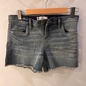 NWOT Carve Designs Maui jean/denim cut-off shorts, Women's size 4